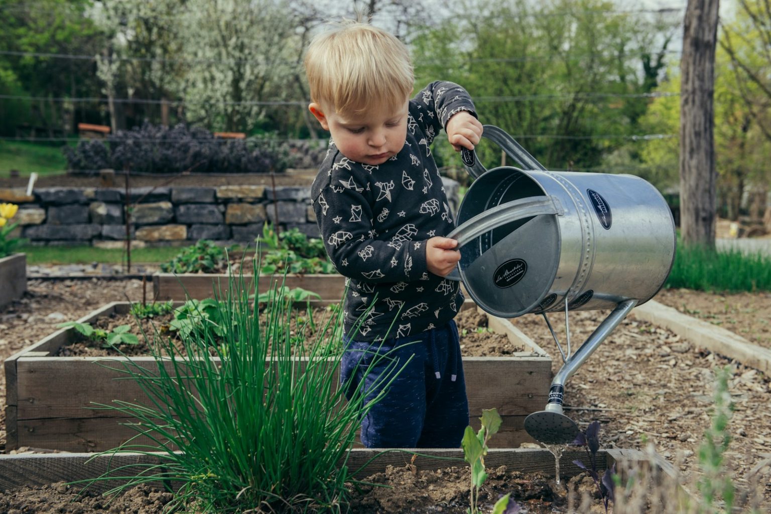 comment aménager un coin potager en utilisant des palettes en bois